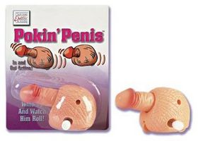 Pokin Penis