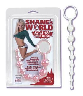 Shanes World Anal 101 Intro Beads